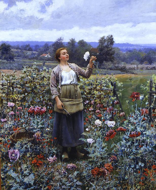 Daniel Ridgeway Knight Picking Poppies France oil painting art